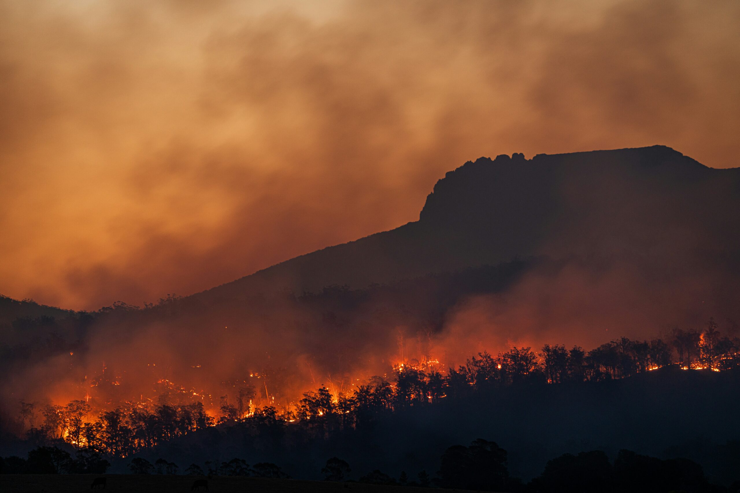 Climate Change: Impacts Over the Next Decade